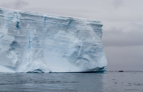 HDS28A23, Day 6, Brown Bluff - Felicity J-05 © Felicity Johnson - Oceanwide Expeditions.jpg