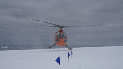 OTL27-23, Day 8, Landing7 © Unknown photographer - Oceanwide Expeditions.JPG