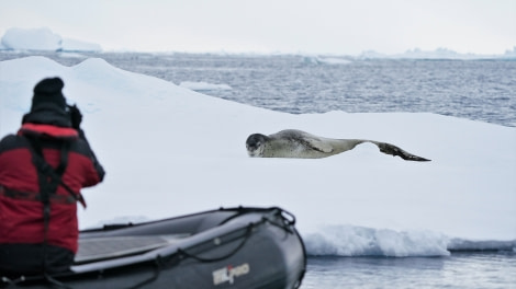 OTL27-23, Day 10, Leopard_Zodiac © Unknown photographer - Oceanwide Expeditions.jpg