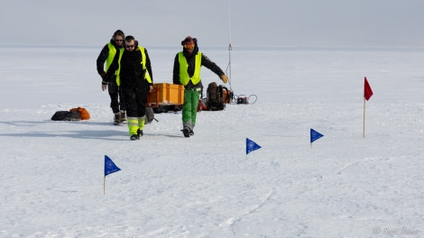 OTL27-23, Day 17, Ice Shelf 2 © Sara Jenner - Oceanwide Expeditions.jpg