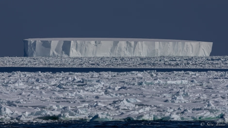 OTL27-23, Day 14, Ice © Sara Jenner - Oceanwide Expeditions.jpg
