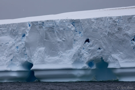 OTL27-23, Day 15, Iceberg 3 © Sara Jenner - Oceanwide Expeditions.jpg