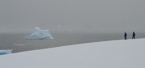 HDS30-23, Day 4, Landing © Unknown photographer - Oceanwide Expeditions.jpg