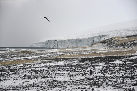 OTL28-23, Day 14, 2Mar23b-Ghost town at C Bird-Gary Miller © Gary Miller - Oceanwide Expeditions.JPG