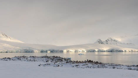 OTL28-23, Day 29, Damoy Point 1 © Sara Jenner - Oceanwide Expeditions.jpg