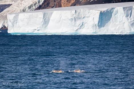 HDS31-23, IMG_7843 © Charlotte Taplin - Oceanwide Expeditions.jpg