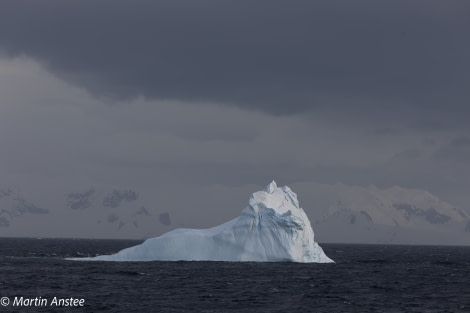 PLA32A23, Day 4, 095A6945 © Martin Anstee - Oceanwide Expeditions.jpg