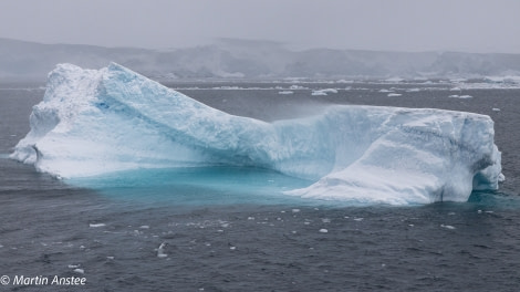 PLA32A23, Day 6, BZ2A1036 © Martin Anstee - Oceanwide Expeditions.jpg