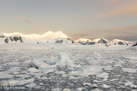 PLA32A23, Day 7, BZ2A1133 © Martin Anstee - Oceanwide Expeditions.jpg