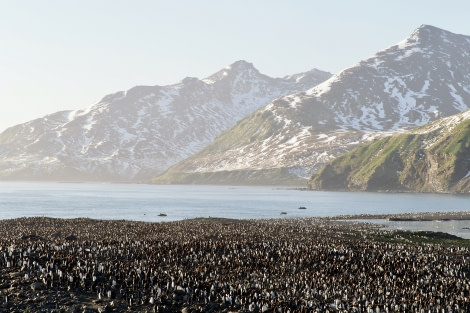 HDS34-23, Day 7, meikesjoer4 © Meike Sjoer - Oceanwide Expeditions.JPG