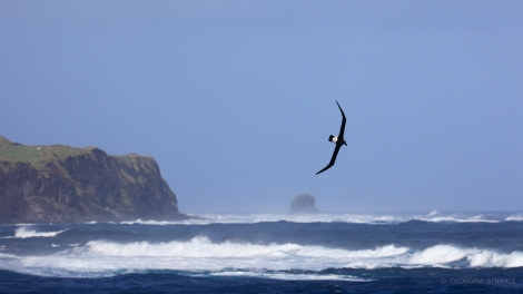 HDS34-23, Day 15, 5A8A9265 © Georgina Strange - Oceanwide Expeditions.jpg