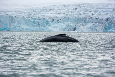 HDS06-23, Day 7, _PAS3279 © Pelin Asfuroglu - Oceanwide Expeditions.jpg