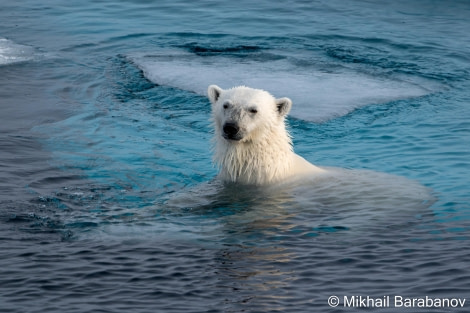 HDS09-23, Day 5, 02546-2 © Mikhail Barabanov - Oceanwide Expeditions.jpg