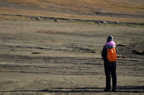 PLA11-23, Day 7, Lone explorer © Unknown photographer - Oceanwide Expeditions.jpg