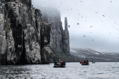 HDSXX23, Day 3, 05082 © Mikhail Barabanov - Oceanwide Expeditions.jpg