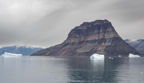 PLA12-23, Day 7, Blomsterbugt  © Ross Wheeler - Oceanwide Expeditions.JPG