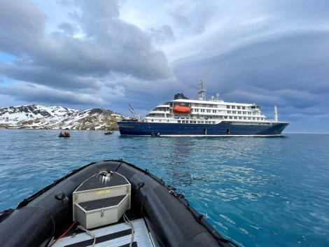 HDS21-23, Day 10, Cooper Bay, South Georgia © Unknown photographer - Oceanwide Expeditions.jpg