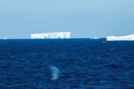 HDS21-23, Day 12, Icebergs © Unknown photographer - Oceanwide Expeditions.jpg