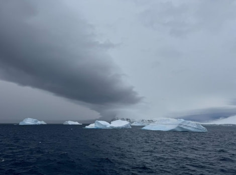 OTL22-23, Day 4, Icebergs © Unknown photographer - Oceanwide Expeditions.jpg