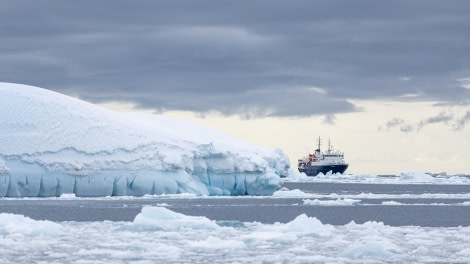 OTL22-23, Day 7, Ortelius in the ice © Sara Jenner - Oceanwide Expeditions.jpg