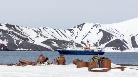 OTL22-23, Day 8, Whalers Bay 2 © Sara Jenner - Oceanwide Expeditions.jpg