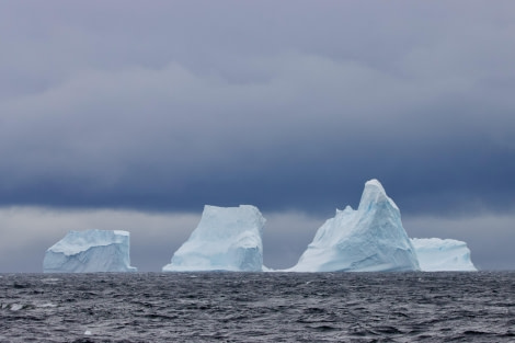 PLA22-23, Day 5, Icebergs © Joshua Peck - Oceanwide Expeditions.jpeg