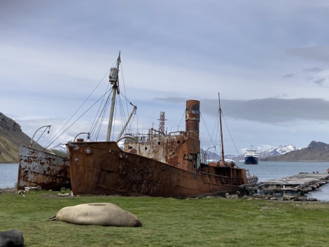 PLA22-23, Day 9, Grytviken © Joshua Peck - Oceanwide Expeditions.jpg