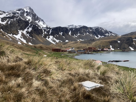 PLA22-23, Day 9, Grytviken 2 © Joshua Peck - Oceanwide Expeditions.jpg