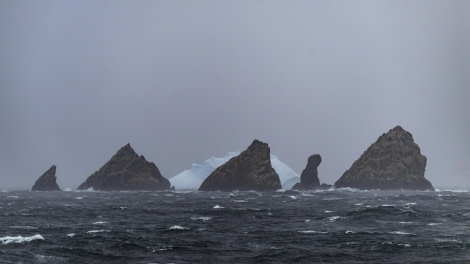 PLA22-23, Day 11, Shag Rocks 2 © Koen Hoekemeijer - Oceanwide Expeditions.jpg