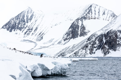 OTL23-23, Day 5, Adelie Penguins Colony © Sara Jenner - Oceanwide Expeditions.jpg