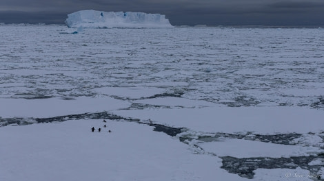 OTL23-23, Day 5, Antarctic Sound © Sara Jenner - Oceanwide Expeditions.jpg