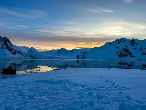 OTL24-23, Day 6, Hovgaard Island © Unknown photographer - Oceanwide Expeditions.JPEG