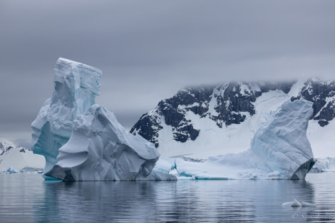 OTL24-23, Day 5, Icebergs © Sara Jenner - Oceanwide Expeditions.jpg