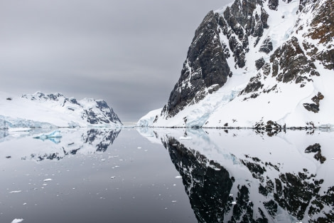 OTL24-23, Day 6, Lemaire © Unknown photographer - Oceanwide Expeditions.jpg