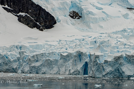 OTL24-23, Day 9, Neko Harbour © Martin Anstee Photography - Oceanwide Expeditions.jpg