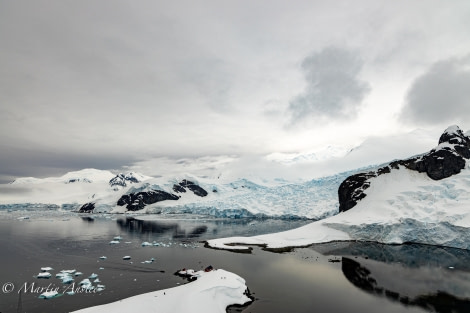 OTL24-23, Day 9, Neko Harbour 3 © Martin Anstee Photography - Oceanwide Expeditions.jpg