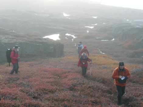 east greenland_walk_tundra (c) rob tully (7).JPG