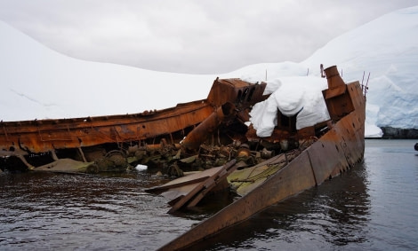 HDS24-23, Day 4, Governoren wreck © Unknown photographer - Oceanwide Expeditions.jpg