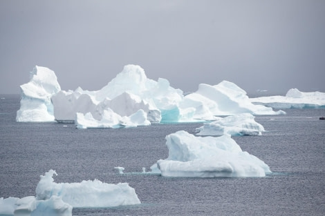 HDS24-23, Day 4, Icebergs © Unknown photographer - Oceanwide Expeditions.jpg