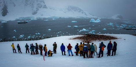 HDS24-23, Day 6, LYR_0480 © Alexander Romanovskiy - Oceanwide Expeditions.jpg