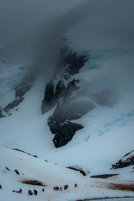 HDS24-23, Day 6, LYR_0535 © Alexander Romanovskiy - Oceanwide Expeditions.jpg