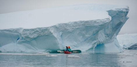 PLA24-23, Day 6, Kayaking 2 © Unknown photographer - Oceanwide Expeditions.jpg