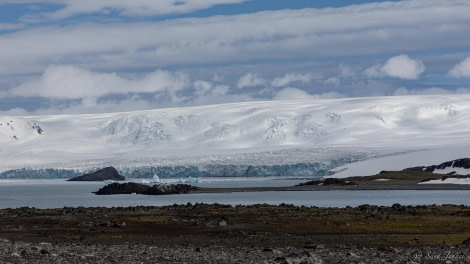 HDS25-24, Day 13, Penguin Island 1 © Sara Jenner - Oceanwide Expeditions.jpg