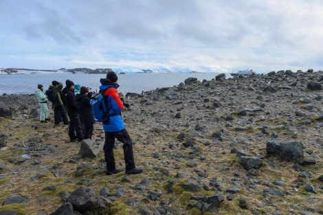 HDS25-24, Day 13, PenguinIsland_FelicityJ-3 © Felicity Johnson - Oceanwide Expeditions.jpg