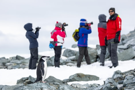 HDS25-24, Day 14, Two Hummock island 3 © Sara Jenner - Oceanwide Expeditions.jpg