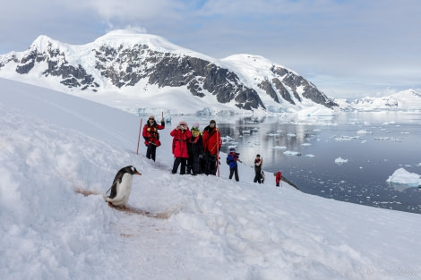 HDS25-24, Day 15, Danco Island 1 © Sara Jenner - Oceanwide Expeditions.jpg