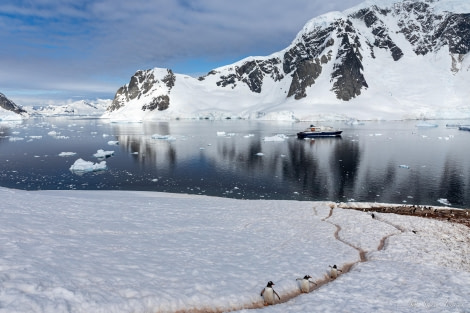 HDS25-24, Day 15, Danco Island 2 © Sara Jenner - Oceanwide Expeditions.jpg