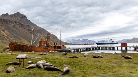 HDS25-24, Day 7, Grytviken 2 © Sara Jenner - Oceanwide Expeditions.jpg