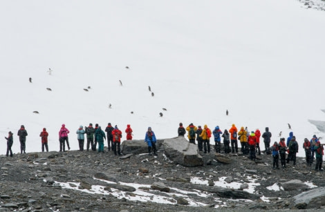 HDS25-24, Day 11, FelicityJ_ShingleCove-12 © Felicity Johnson - Oceanwide Expeditions.jpg