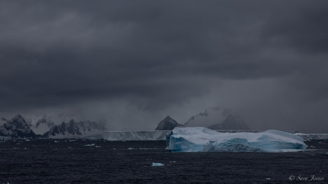 HDS25-24, Day 11, South Orkney 1 © Sara Jenner - Oceanwide Expeditions.jpg